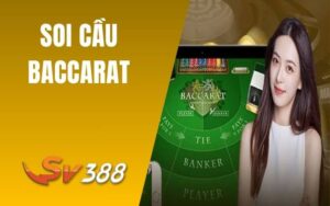 Soi Cầu Baccarat